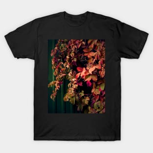 Nature plants photography T-Shirt